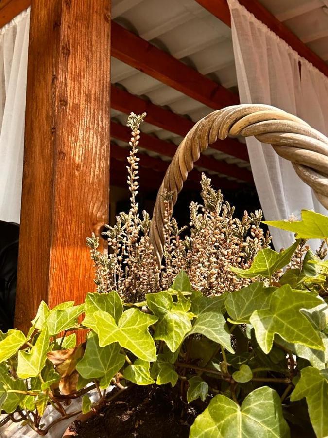 Apartamento Bon Bon Del Corso Con Terrazzo E Aria Condizionata Asti Exterior foto